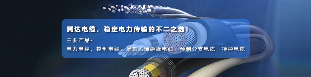 騰達(dá)電纜有限公司